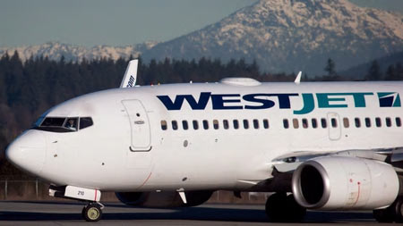 About 3,000 of WestJet's cabin crew members are now officially unionized. (Darryl Dyck/Canadian Press)