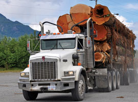 A large truck loaded with logs